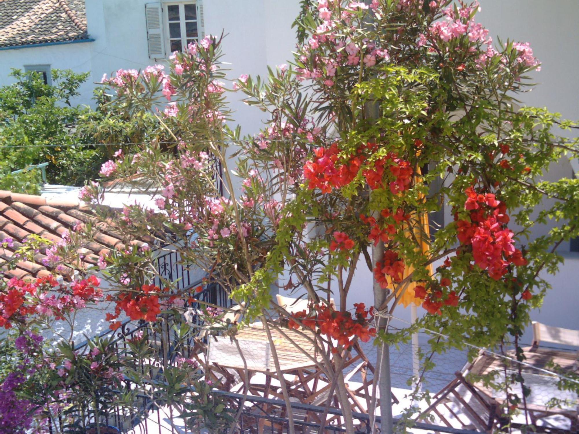 Hotel Alkionides Hydra Extérieur photo